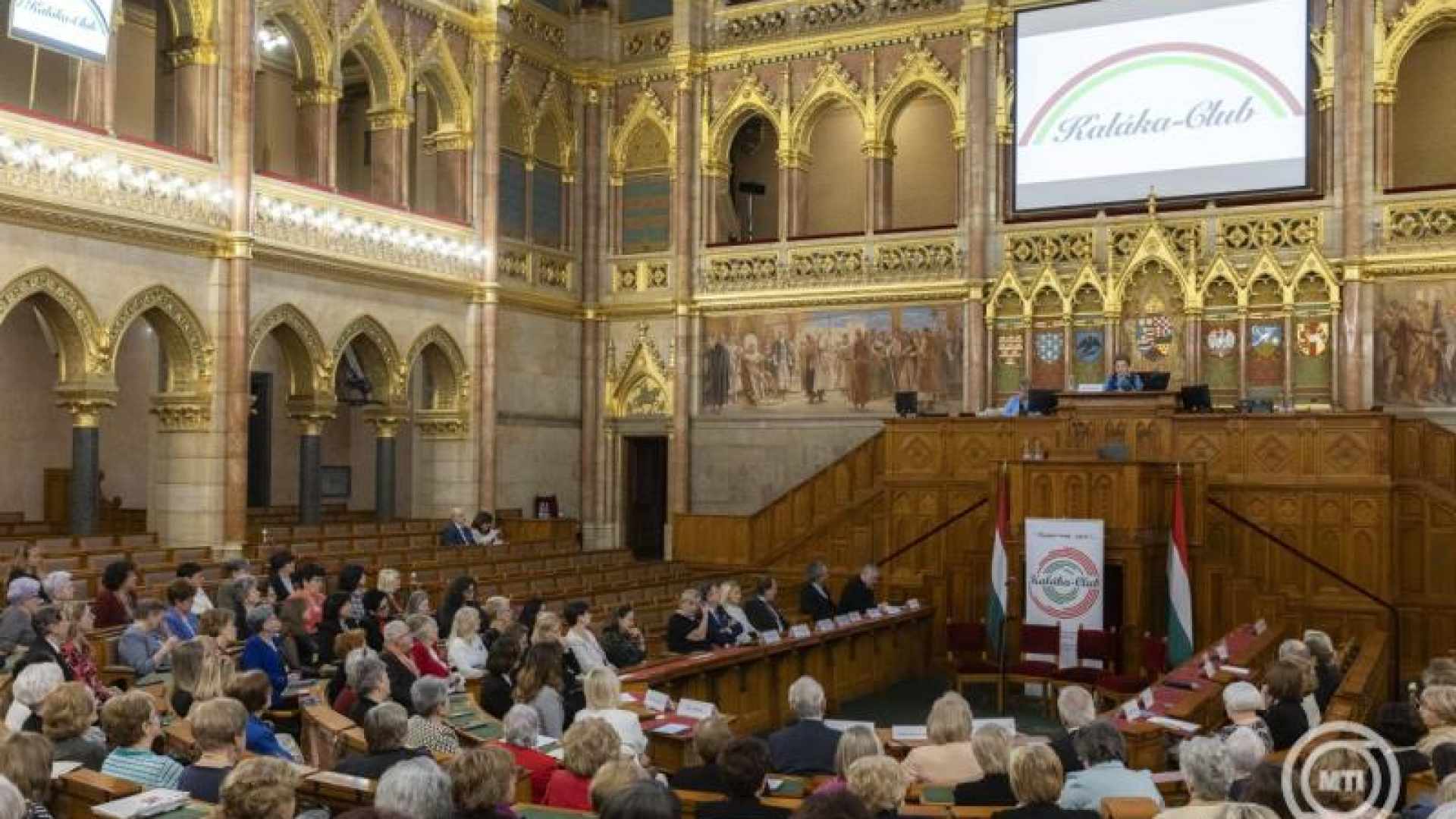 International call for peace signed by Hungarian women from 24 countries